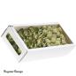 Preview: Protea Rosette klein, lime/raureif